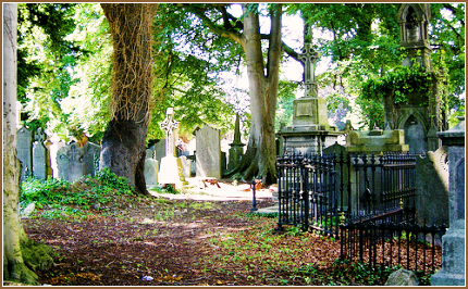 Irish Graveyard