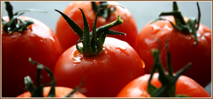 Photo of tomatoes