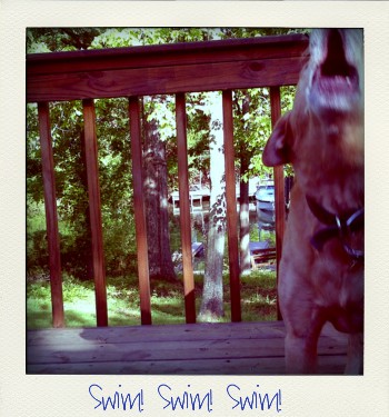 Barking