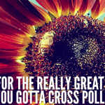 For the really great stuff, you gotta cross pollinate