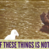 content marketing that's different