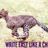 Write fast like a cheetah