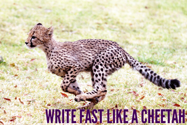 Write fast like a cheetah